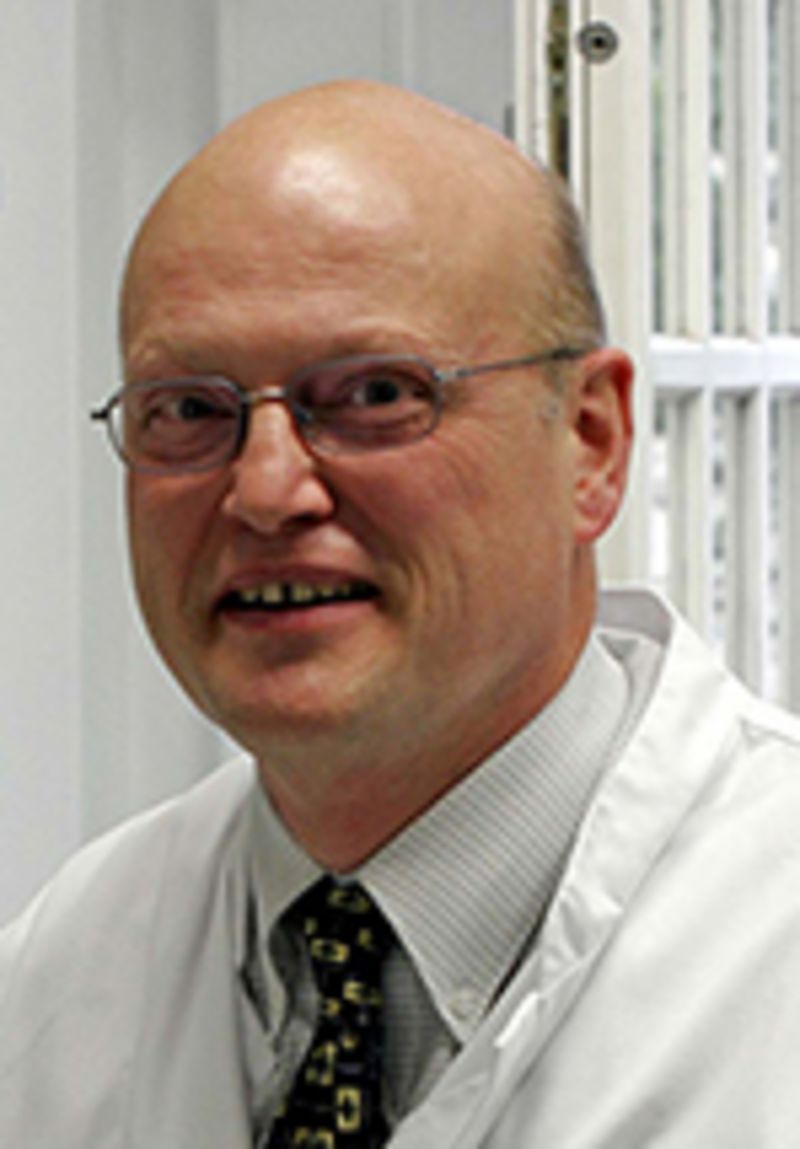 Bisherige Professoren