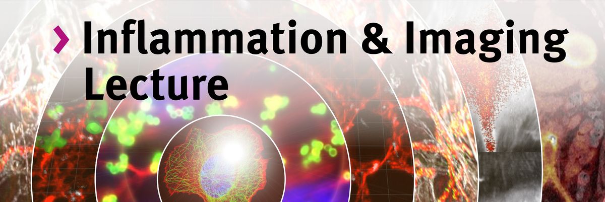 Inflammation & Imaging Lecture