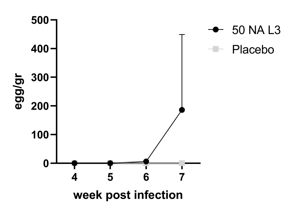 Abbildung 2: Nach der Kato-Katz-Methode ermittelte Eizahl bei kontrollierter menschlicher Hakenwurminfektion mit einem Inokulum von 50 Lambaréné-Larven des dritten Stadiums von Necator americanus (NaL3) n=3 (2 geimpfte und 1 Placebo).