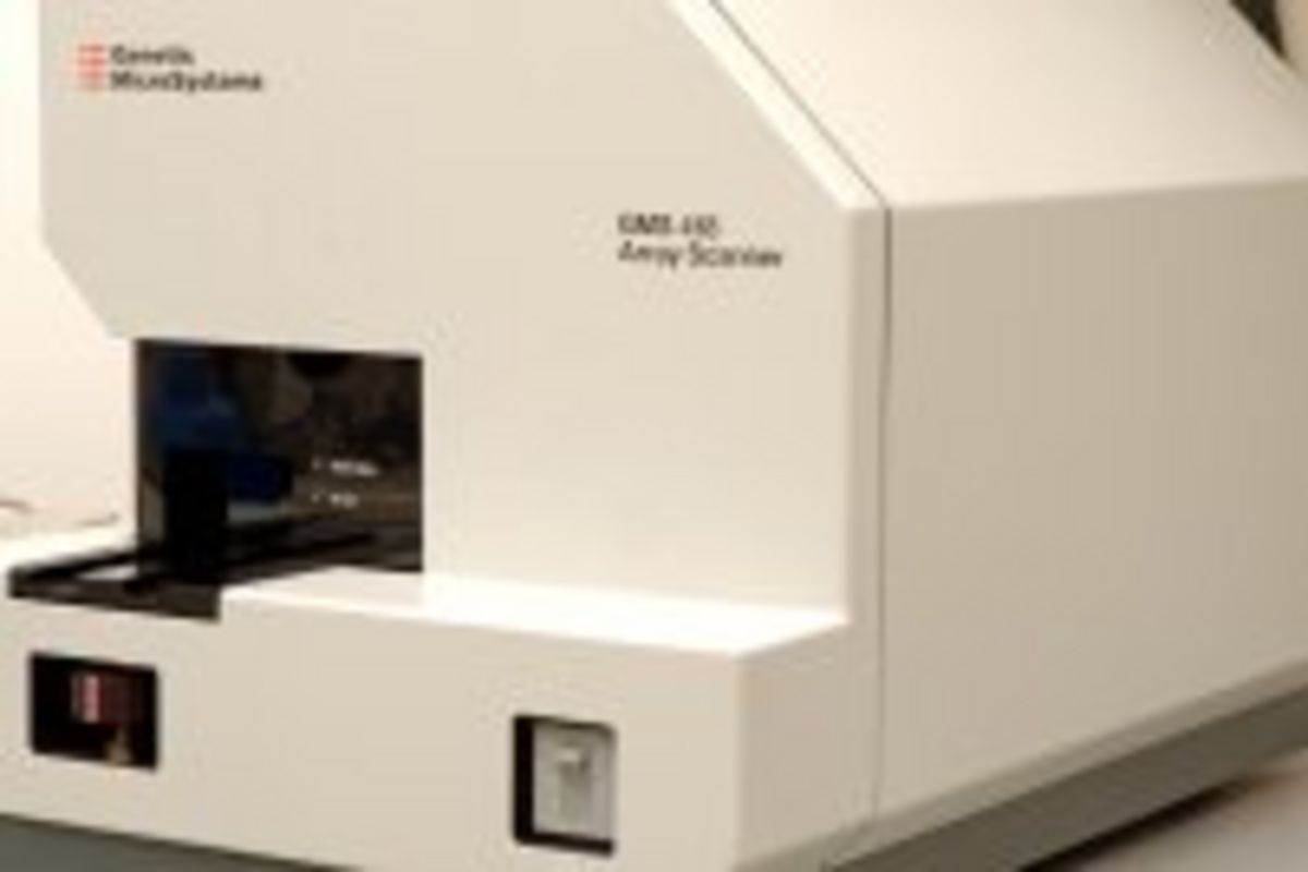 Protein micro arrays