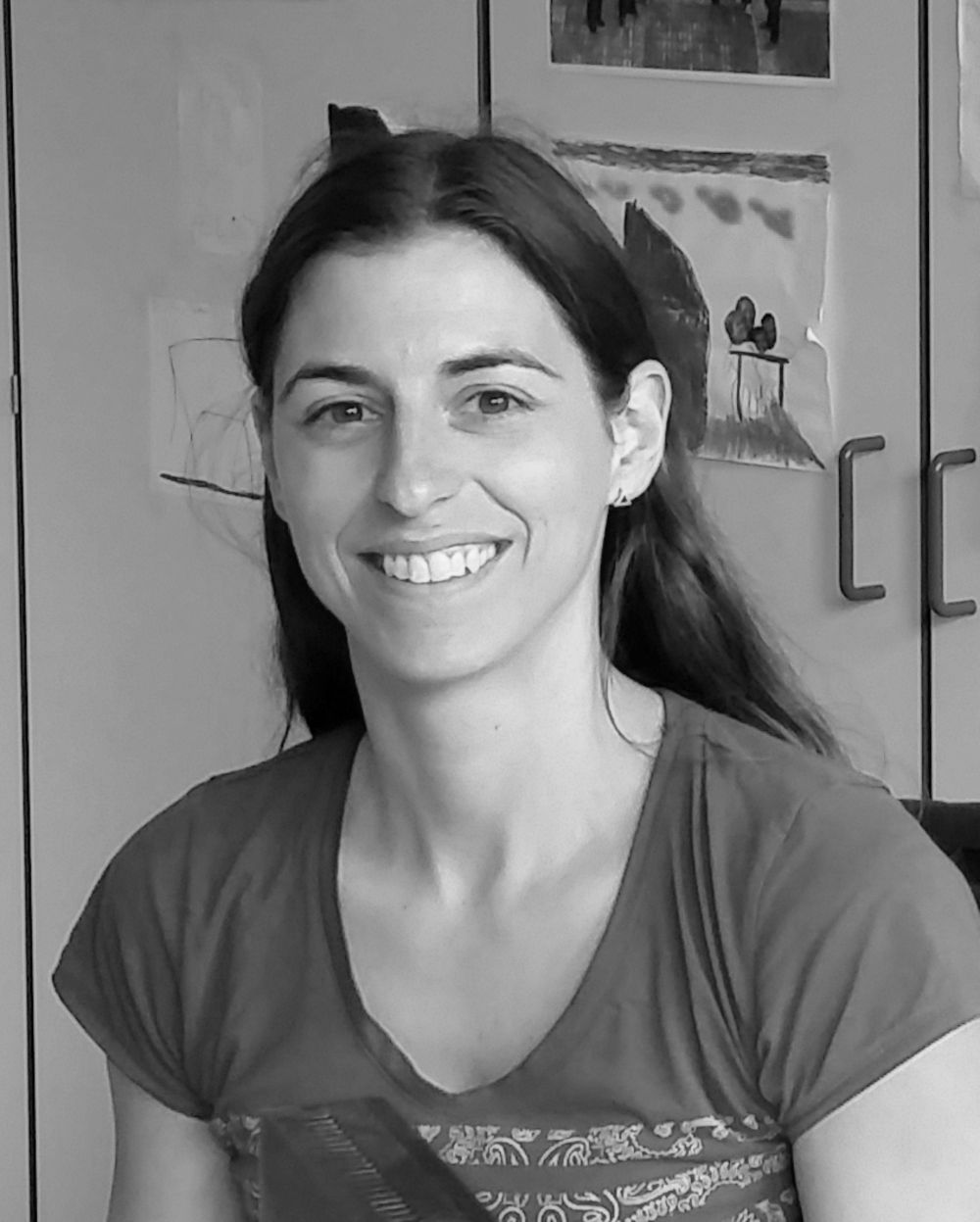 What is a dissertation picture